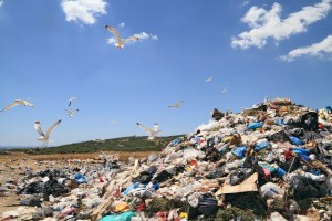 municipal garbage waste dumping site